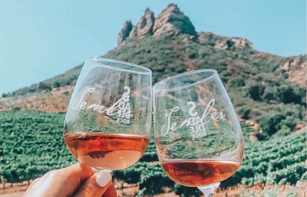 Enjoy a Malibu Hills Wine Hike