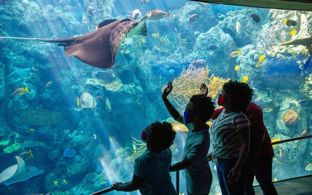 Investigate the Aquarium of the Pacific :