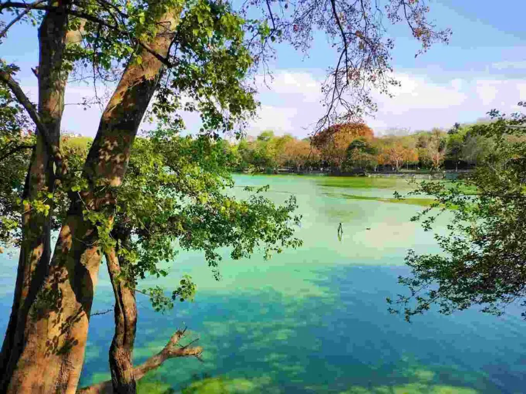 hauz khas fort photos