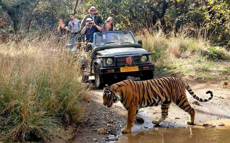 Ranthambore Tiger National Park